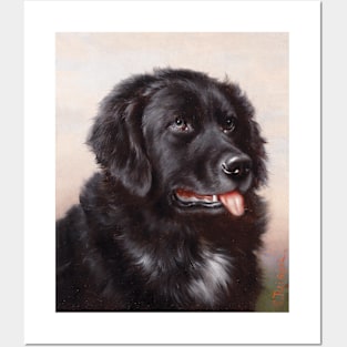 Newfoundlander Dog Portrait (circa 1900) by Carl Reichert Posters and Art